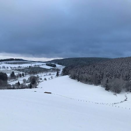 Appartement Familie Willems Winterberg 3 Ngoại thất bức ảnh