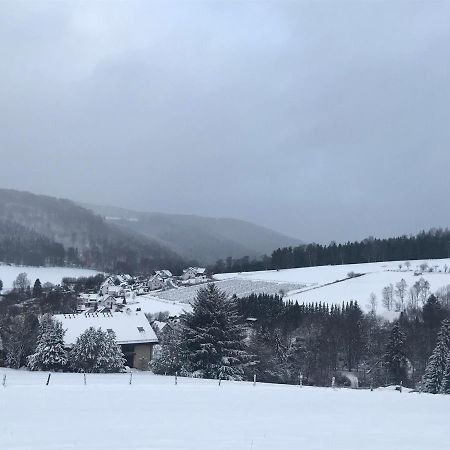 Appartement Familie Willems Winterberg 3 Ngoại thất bức ảnh