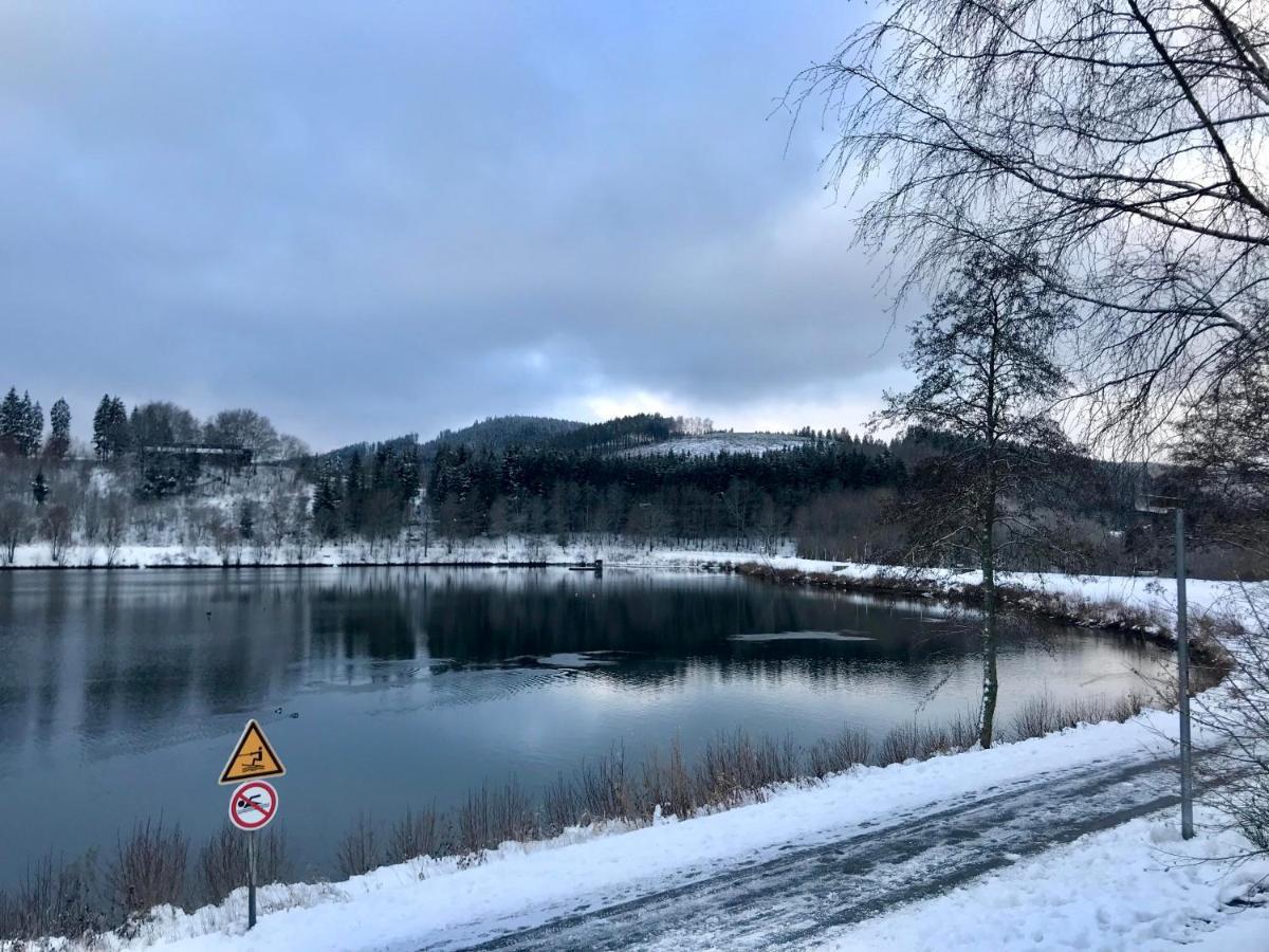 Appartement Familie Willems Winterberg 3 Ngoại thất bức ảnh